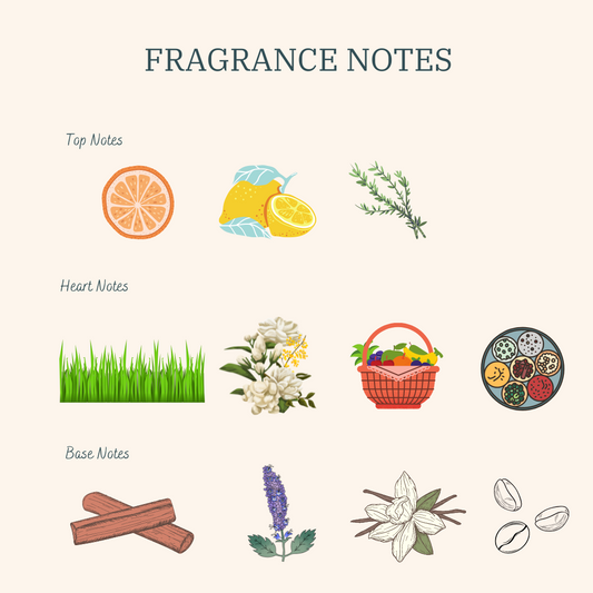 Fragrance Notes in Pictures