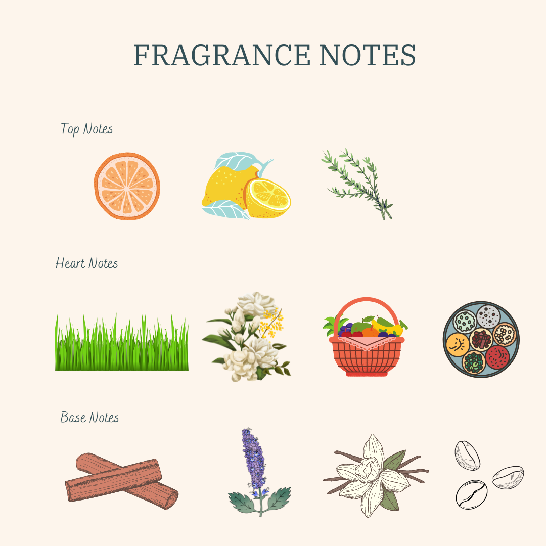 How To Read Fragrances Notes Charts? – Ghazal Fragrances